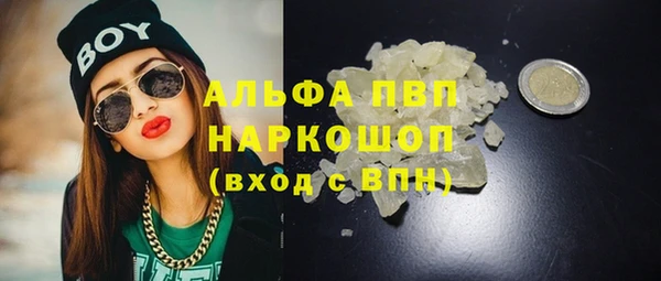 спиды Аркадак