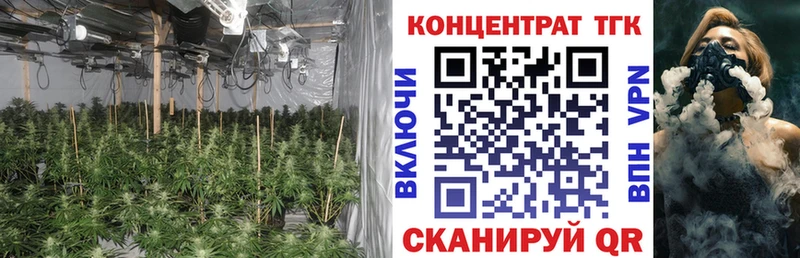 Дистиллят ТГК THC oil  Нижний Ломов 